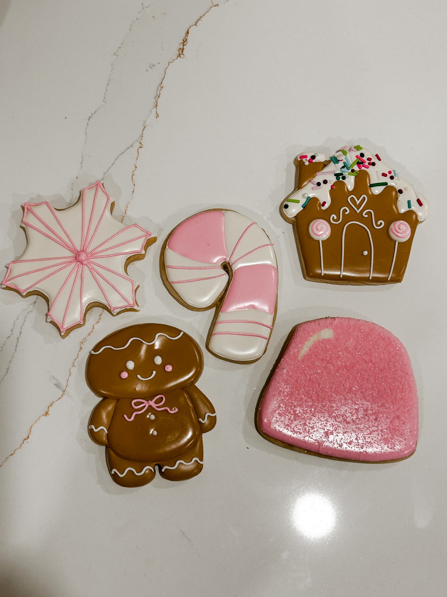 Christmas Cookie Workshop